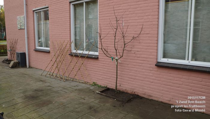 DSC00120- t Zand Den Bosch- project lei-fruitboom - 7nov2015 - foto GerardMontE web