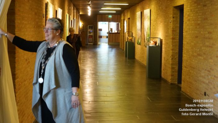 eDSC00337- Bosch-expositie - hotel Guldenberg Helvoirt - 8nov2015 - foto GerardMontE web