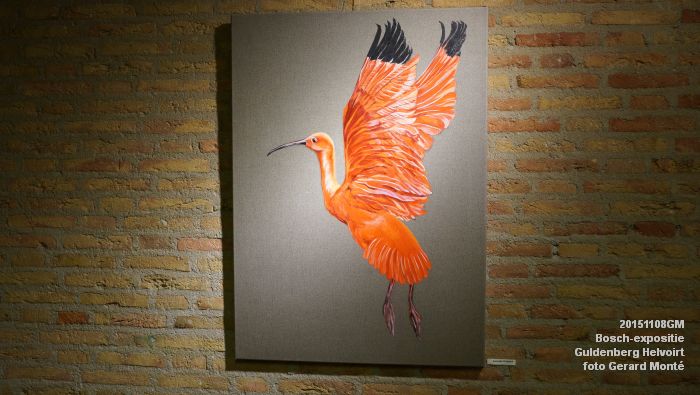 fDSC00300- Bosch-expositie - hotel Guldenberg Helvoirt - 8nov2015 - foto GerardMontE web