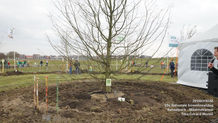 DSC00303- Nationale boomfeestdag - Kanaalpark Maximakanaal- 16maart2016 - foto GerardMontE web