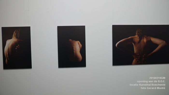 DSC00879- opening van de BOE op de locatie Kunsthal Boschveld - 19maart2016 - foto GerardMontE web