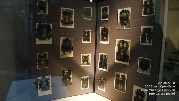 DSC01264- BOE Bosch Open Expo in de Muzerije 4 werken - 23maart2016 - foto GerardMontE web