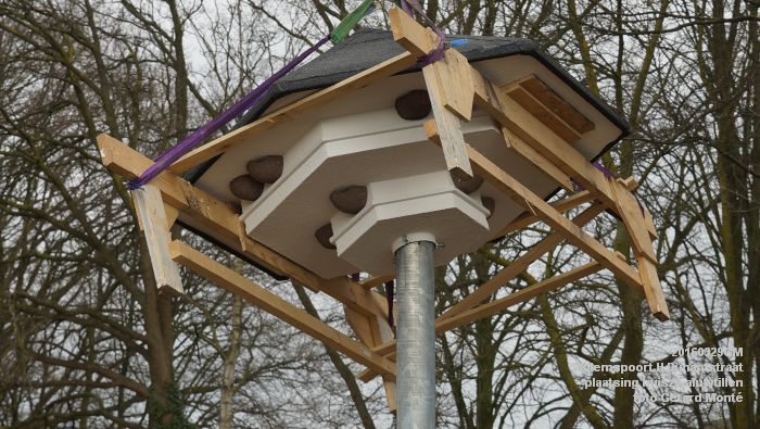 DSC02075- Willemspoort - huiszwaluwtillen geplaatst - Henri Dunantstraat - 29maart2016 - foto GerardMontE web