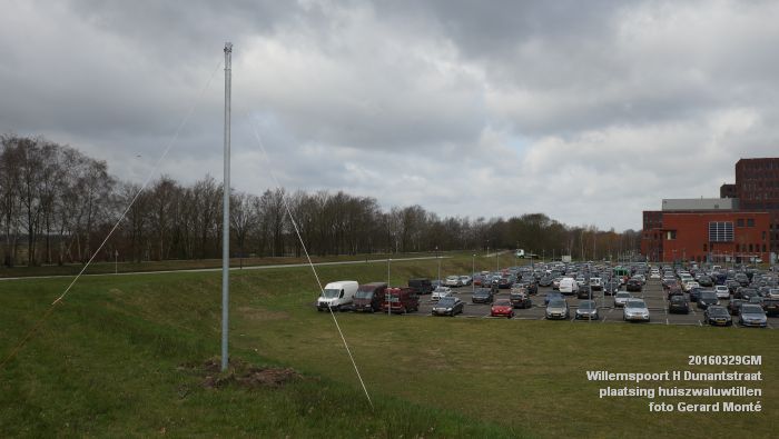 DSC02119- Willemspoort - huiszwaluwtillen geplaatst - Henri Dunantstraat - 29maart2016 - foto GerardMontE web