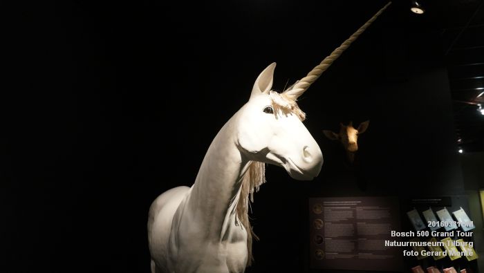 DSC02691- Bosch 500 Grand Tour Natuurmuseum Tilburg - 31maart2016 - foto GerardMontE web