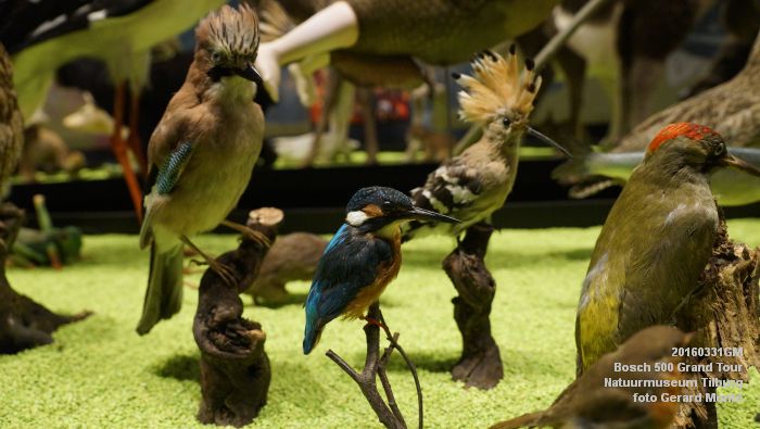 DSC02693- Bosch 500 Grand Tour Natuurmuseum Tilburg - 31maart2016 - foto GerardMontE web