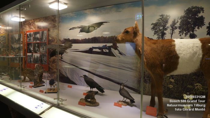 DSC02715- Bosch 500 Grand Tour Natuurmuseum Tilburg - 31maart2016 - foto GerardMontE web
