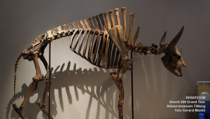 DSC02728- Bosch 500 Grand Tour Natuurmuseum Tilburg - 31maart2016 - foto GerardMontE web