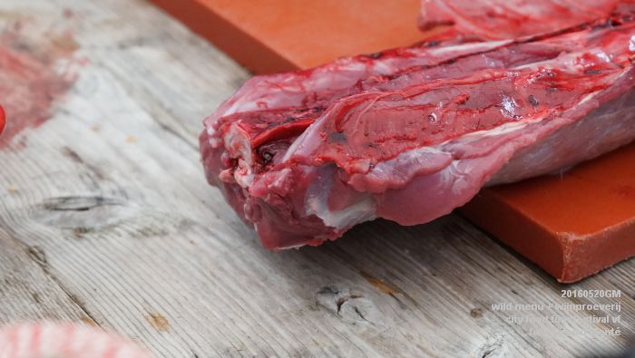 DSC09419- wild menu en wijnproeverij - city food film festival Vf - 20mei2016 - foto GerardMontE web