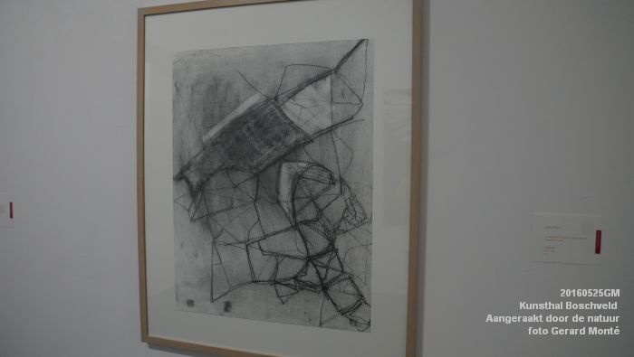 DSC00118- Kunsthal Boschveld - Aangeraakt door de natuur - 25mei2016 - foto GerardMontE web