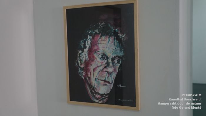 DSC00124- Kunsthal Boschveld - Aangeraakt door de natuur - 25mei2016 - foto GerardMontE web