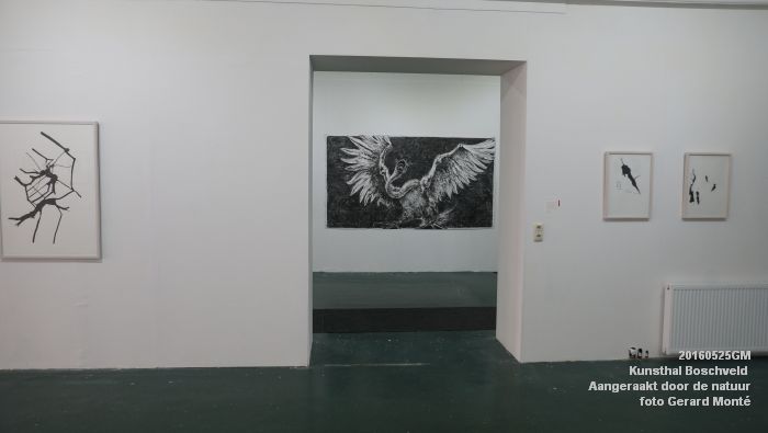 DSC00146- Kunsthal Boschveld - Aangeraakt door de natuur - 25mei2016 - foto GerardMontE web