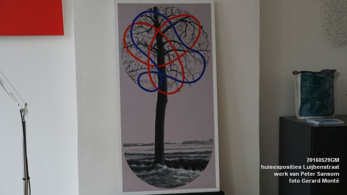 DSC01164- Luijbenstraat huisexposities - werk van Peter Sansom - 29mei2016 - foto GerardMontE web