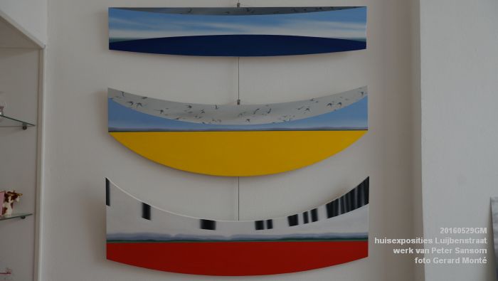 DSC01166- Luijbenstraat huisexposities - werk van Peter Sansom - 29mei2016 - foto GerardMontE web