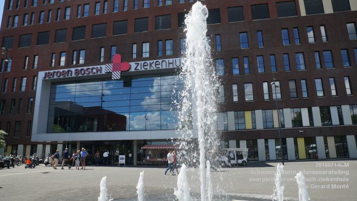 DSC06334- Schwanensturm - dansvoorstelling op het voorplein van het Jeroen Bosch-ziekenhuis - 14juli2016 - foto GerardMontE web