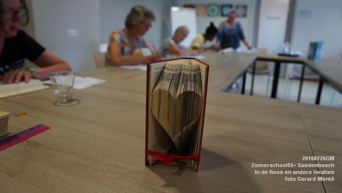DSC07972- Zomerschool55+ Sasdenbosch - In de Roos Zuiderparkweg - 26juli2016 -  foto GerardMontE web