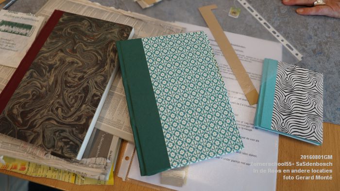 DSC08630- Zomerschool55+ SaSdenbosch - In de Roos Zuiderparkweg - 1aug2016 -  foto GerardMontE web