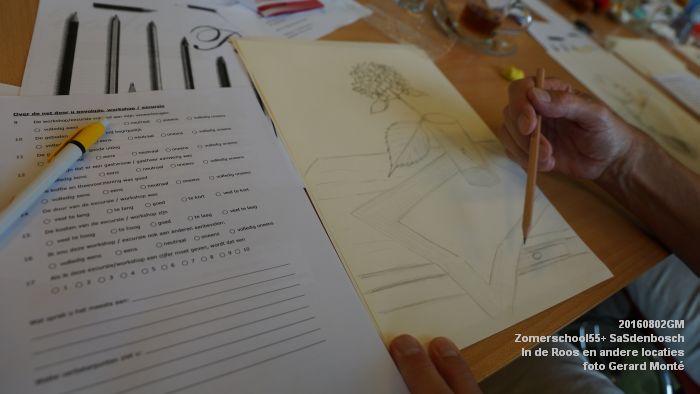 DSC08711- Zomerschool55+ SaSdenbosch - In de Roos Zuiderparkweg - 2aug2016 -  foto GerardMontE web