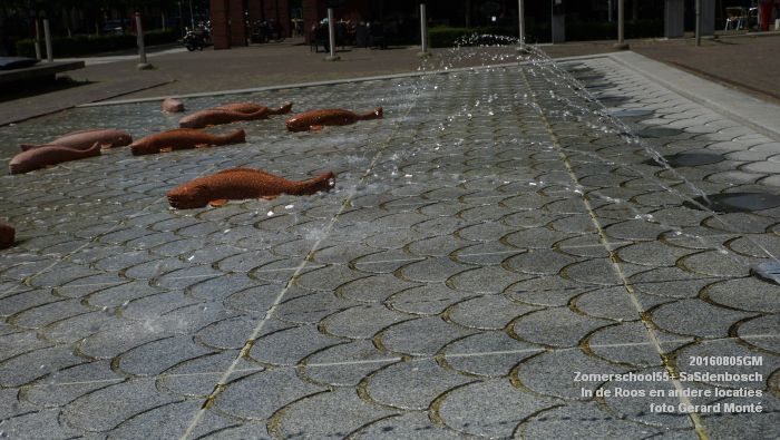 DSC09284- Zomerschool55+ SaSdenbosch - In de Roos Zuiderparkweg - 5aug2016 -  foto GerardMontE web