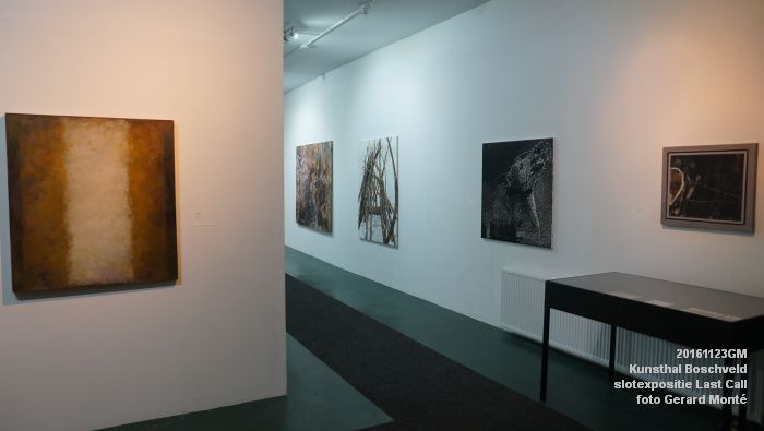 DSC09902- Kunsthal Boschveld - Last Call - laatste expositie Vughterstraat - 23november2016 - foto GerardMontE
