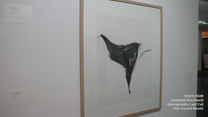 DSC09933- Kunsthal Boschveld - Last Call - laatste expositie Vughterstraat - 23november2016 - foto GerardMontE