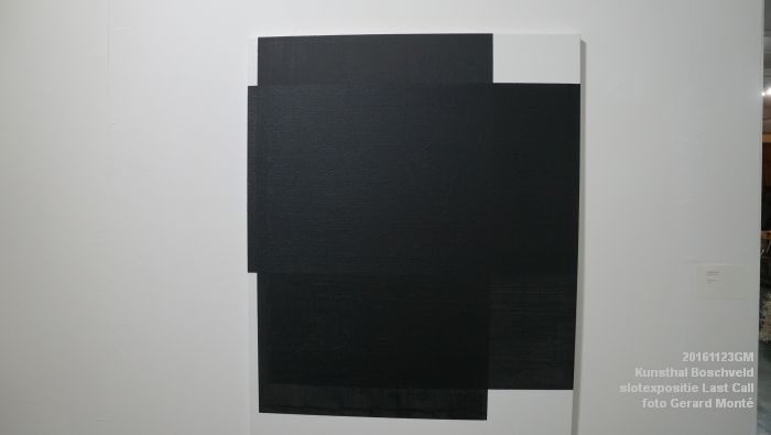DSC09945- Kunsthal Boschveld - Last Call - laatste expositie Vughterstraat - 23november2016 - foto GerardMontE
