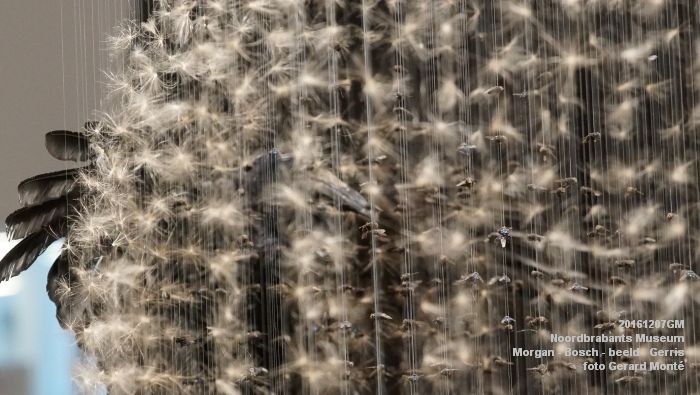 DSC01371- Noordbrabants Museum - Morgan - Bosch - beeld - Gerris - 7december2016 - foto GerardMontE web