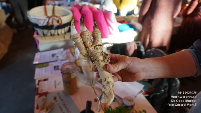 DSC08149- Tramkade Werkwarenhuis -  Do Good Market - 22januari2017 -  foto GerardMontE web