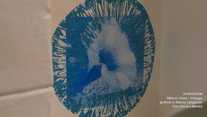 eDSC04045- Willem Twee Etaloge - grafiek van Bianca Tangande - 3feb2018 - foto GerardMontE web