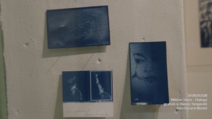 eDSC04047- Willem Twee Etaloge - grafiek van Bianca Tangande - 3feb2018 - foto GerardMontE web