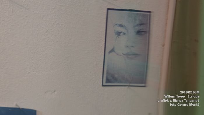 eDSC04052- Willem Twee Etaloge - grafiek van Bianca Tangande - 3feb2018 - foto GerardMontE web