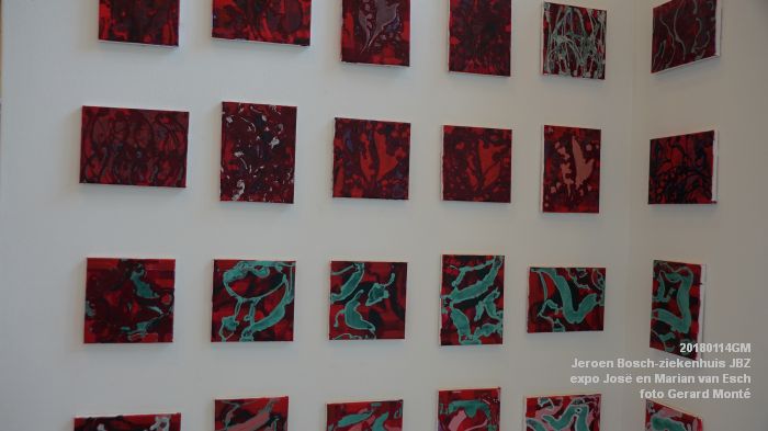 DSC00418- Jeroen Bosch-ziekenhuis JBZ - expo Jose en Marian van Esch -- 14jan2018 - foto GerardMontE web