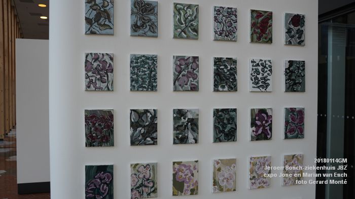 DSC00425- Jeroen Bosch-ziekenhuis JBZ - expo Jose en Marian van Esch -- 14jan2018 - foto GerardMontE web