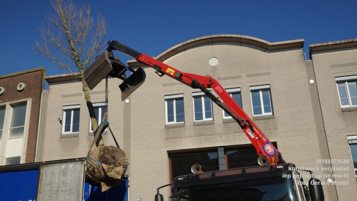 GDSC06094- Gemeente kunstwerk verplaatst EG van MB - boom op de markt - 23feb2018 - foto GerardMontE web