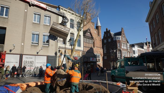 GDSC06101- Gemeente kunstwerk verplaatst EG van MB - boom op de markt - 23feb2018 - foto GerardMontE web