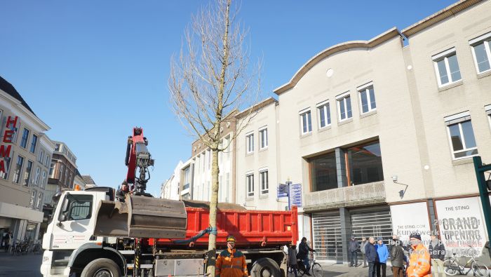 GDSC06113- Gemeente kunstwerk verplaatst EG van MB - boom op de markt - 23feb2018 - foto GerardMontE web