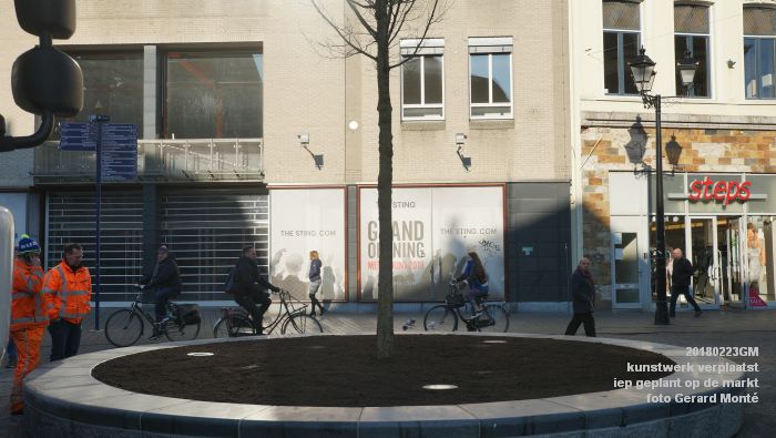 GDSC06131- Gemeente kunstwerk verplaatst EG van MB - boom op de markt - 23feb2018 - foto GerardMontE web