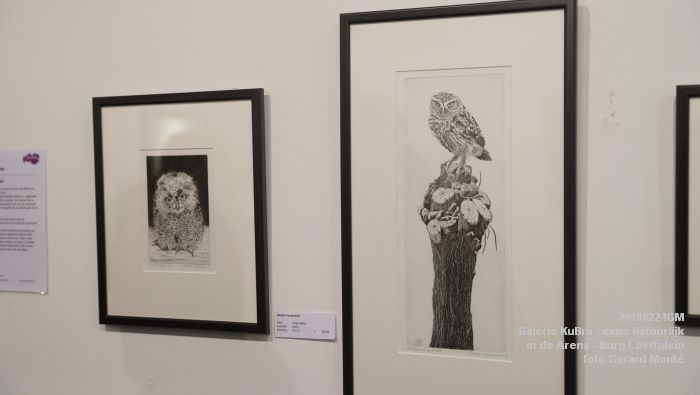DSC06148- Galerie KuBra - expositie Natuurlijk - in de Arena Burg Loeffplein - 24feb2018 - foto GerardMontE web