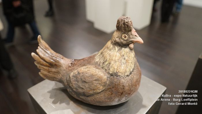 DSC06157- Galerie KuBra - expositie Natuurlijk - in de Arena Burg Loeffplein - 24feb2018 - foto GerardMontE web