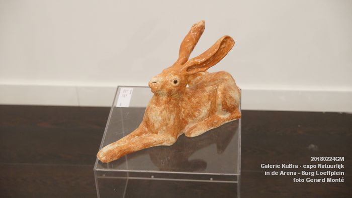 DSC06164- Galerie KuBra - expositie Natuurlijk - in de Arena Burg Loeffplein - 24feb2018 - foto GerardMontE web