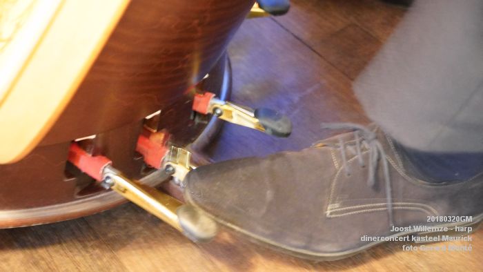 eDSC04109- Dinerconcert - Joost Willemze harp - kasteel Maurick - 20maart2018 - foto GerardMontE web