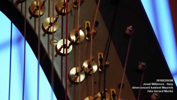 eDSC04113- Dinerconcert - Joost Willemze harp - kasteel Maurick - 20maart2018 - foto GerardMontE web