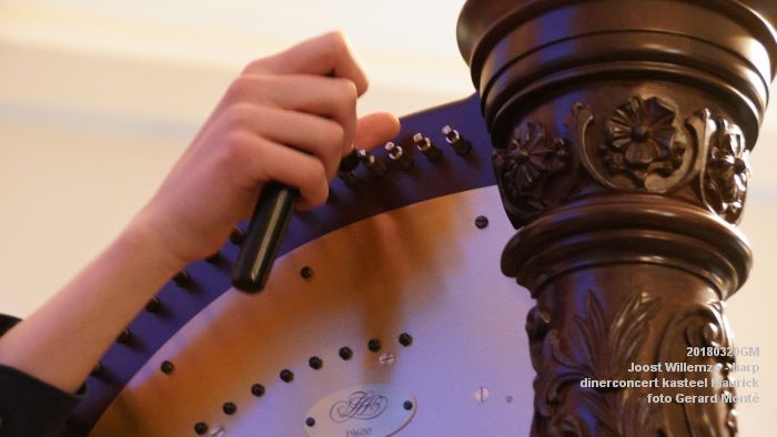 eDSC04121- Dinerconcert - Joost Willemze harp - kasteel Maurick - 20maart2018 - foto GerardMontE web