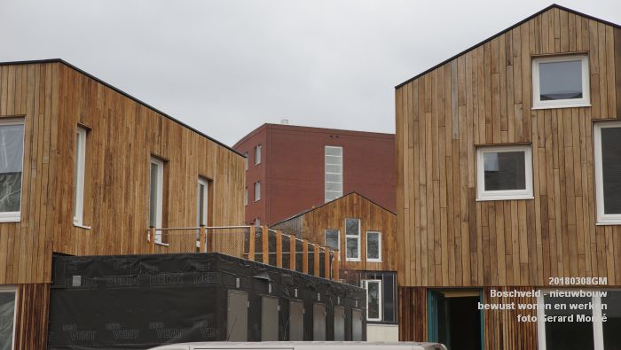 DSC08818- Boschveld - nieuwbouw - bewust wonen en werken - bezoek Lutz Jacobi - 8mrt2018 - foto GerardMontE web DSC08818- Boschveld - nieuwbouw - bewust wonen en werken - bezoek Lutz Jacobi - 8mrt2018 - foto GerardMontE web