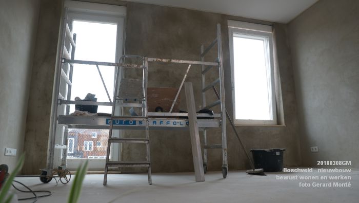 DSC08920- Boschveld - nieuwbouw - bewust wonen en werken - bezoek Lutz Jacobi - 8mrt2018 - foto GerardMontE web DSC08920- Boschveld - nieuwbouw - bewust wonen en werken - bezoek Lutz Jacobi - 8mrt2018 - foto GerardMontE web