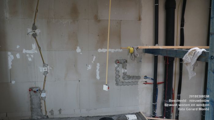 DSC08921- Boschveld - nieuwbouw - bewust wonen en werken - bezoek Lutz Jacobi - 8mrt2018 - foto GerardMontE web DSC08921- Boschveld - nieuwbouw - bewust wonen en werken - bezoek Lutz Jacobi - 8mrt2018 - foto GerardMontE web