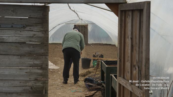 DSC09033- NLdoet - Gefeliciflapstaartbox - Locatie - De Fuik - en andere locaties- 9maart2018 - foto GerardMontE web