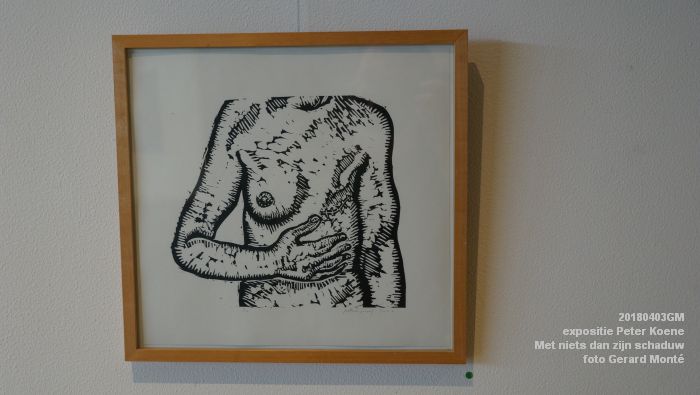 DSC01862- Keg-expositie Peter Koene - Met niets dan zijn schaduw - t Spectrum Schijndel - 3apr2018 - foto GerardMontE web DSC01862- Keg-expositie Peter Koene - Met niets dan zijn schaduw - t Spectrum Schijndel - 3apr2018 - foto GerardMontE web