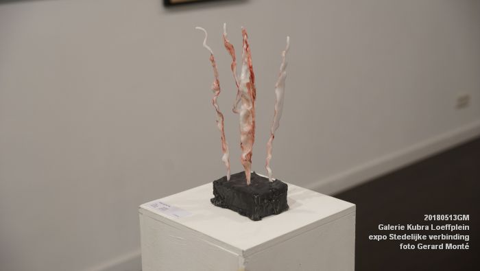 fDSC07170- Galerie Kubra Loeffplein - Stedelijke verbinding - 13meil2018 -  foto GerardMontE web