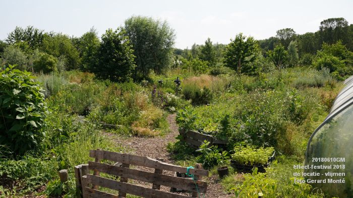 eDSC08681 - effect-festival - de locatie vlijmen - 10juni2018 -  foto GerardMontE web